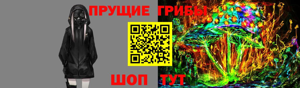 Галлюциногенные грибы мицелий  Псилоцибиновые грибы Psilocybine cubensis  Новокуйбышевск  даркнет сайт  Вход с VPN 